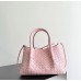 Bvbag-183 BV レディースバッグ サイズ  24x15x12cm /43x23x17.5cm