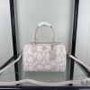 Bag-CO-046