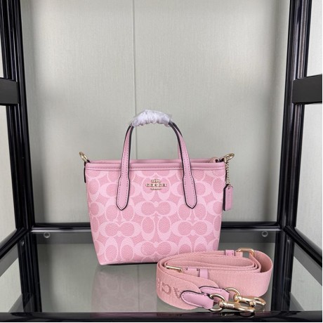 Bag-CO-058