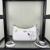 Bag-CO-099