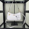 Bag-CO-099