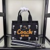 Bag-CO-105