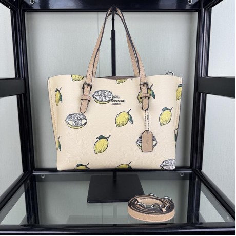 Bag-CO-139