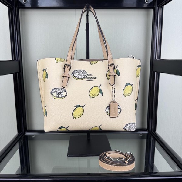 Bag-CO-139