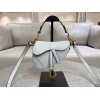 Bag-Dior-070 サイズ  :   17x5x15cm