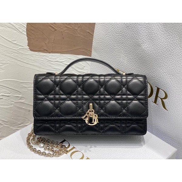 Bag-Dior-095 サイズ  :   21 x 11 x 5cm