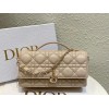 Bag-Dior-098 サイズ  :   21 x 11 x 5cm