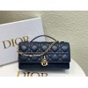 Bag-Dior-100 サイズ  :   21 x 11 x 5cm