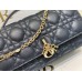 Bag-Dior-100 サイズ  :   21 x 11 x 5cm