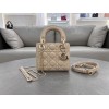 Bag-Dior-131 サイズ  :   17 x 7 x 15cm