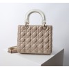 Bag-Dior-150 サイズ  :   24 x 20 x 11cm