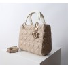 Bag-Dior-150 サイズ  :   24 x 20 x 11cm