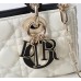 Bag-Dior-166 サイズ  :   22.5 x 12 x 4cm
