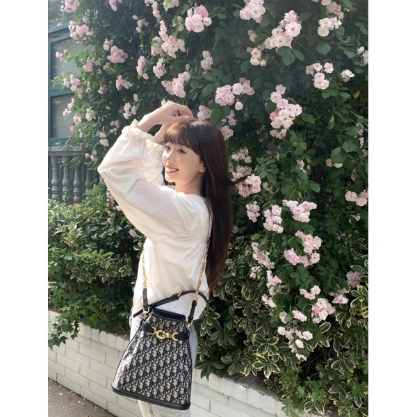 Bag-Dior-176 サイズ  :   24 x 10 x 24.5cm