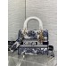 Bag-Dior-180 サイズ  :   24x 20x 11 cm