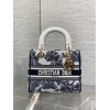 Bag-Dior-180 サイズ  :   24x 20x 11 cm