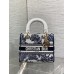 Bag-Dior-180 サイズ  :   24x 20x 11 cm