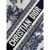 Bag-Dior-180 サイズ  :   24x 20x 11 cm