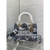 Bag-Dior-182 サイズ  :   24x 20x 11 cm