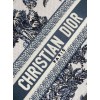 Bag-Dior-182 サイズ  :   24x 20x 11 cm