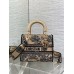 Bag-Dior-183 サイズ  :   24x 20x 11 cm