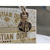 Bag-Dior-184 サイズ  :   24x 20x 11 cm