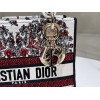 Bag-Dior-185 サイズ  :   24x 20x 11 cm