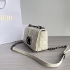 Bag-Dior-194 サイズ  :   20x12x7CM