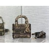 Bag-Dior-210 サイズ  :   17cm