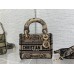 Bag-Dior-210 サイズ  :   17cm