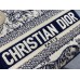 Bag-Dior-214 サイズ  :   17cm