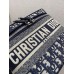 Bag-Dior-220 サイズ  :   25 x 19.5 x 14cm