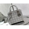 Bag-Dior-228 サイズ  :   24cm