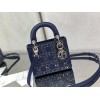 Bag-Dior-229 サイズ  :   17cm