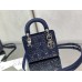 Bag-Dior-229 サイズ  :   17cm