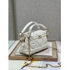 Bag-Dior-232 サイズ  :   20x13cm