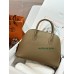 Bolide25cm evercolor D0/威玛犬米色/Beige de Weimar  ベージュドゥワイマール