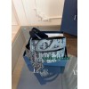 Belt-Dior-029
