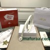 Belt-Dior-051