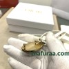 Belt-Dior-051
