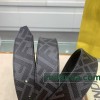 Belt-Fen-001