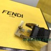 Belt-Fen-005