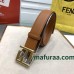 Belt-Fen-006
