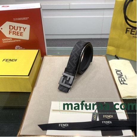 Belt-Fen-009