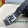 Belt-Fen-009