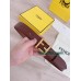 Belt-Fen-010