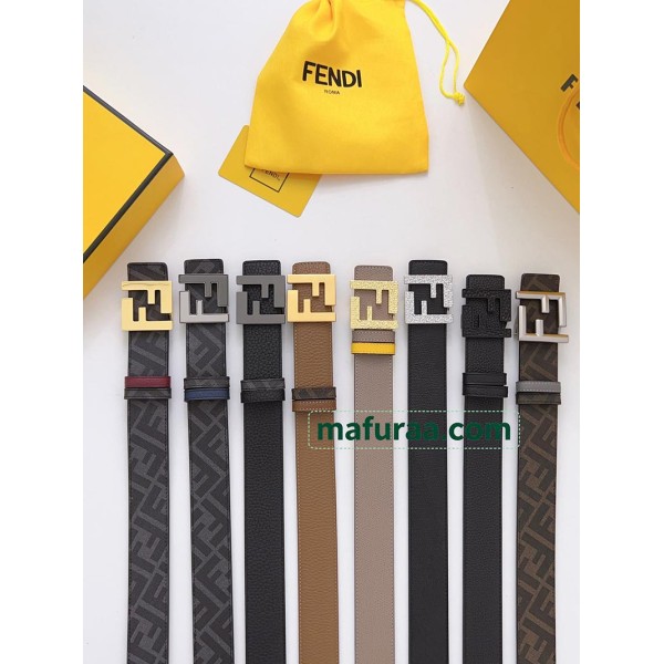 Belt-Fen-014
