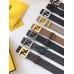 Belt-Fen-014
