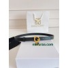Belt-Given002