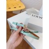 Belt-Loewe-004